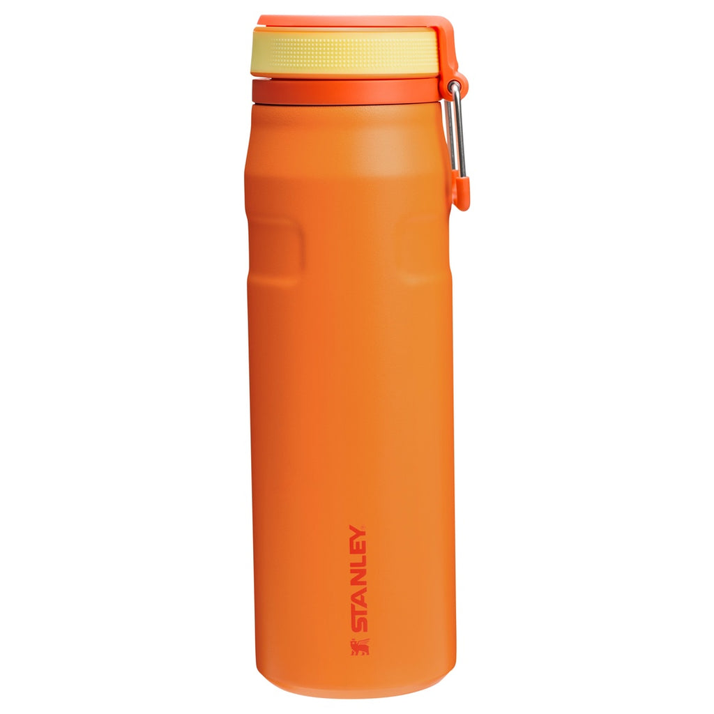 IceFlow Bottle Twist Flip | 0.7L